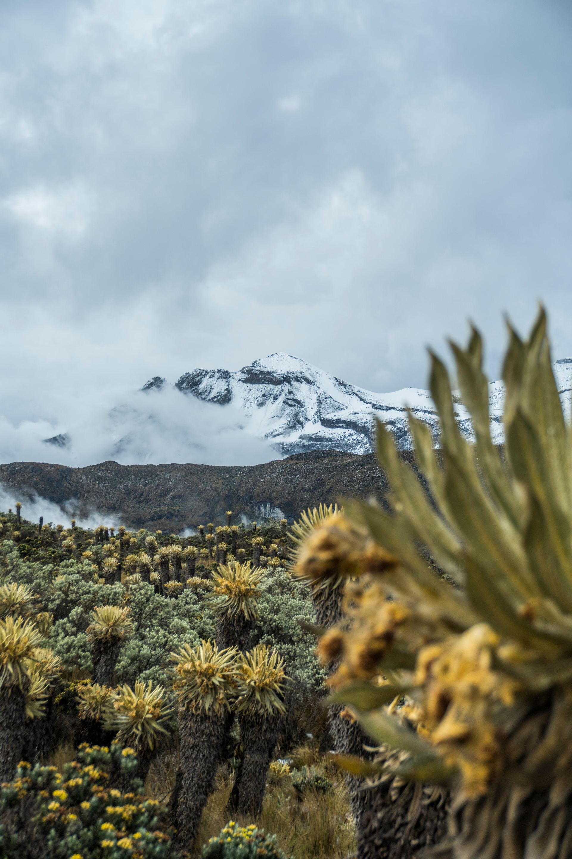 Nevado del Ruiz